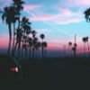briantran123456